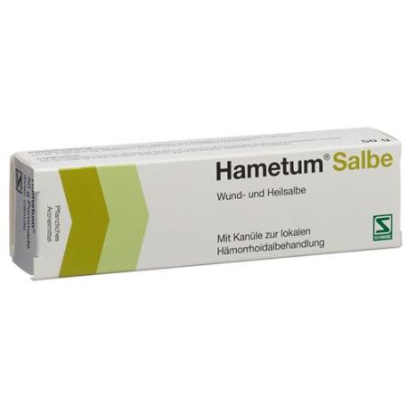 Hametum ointment with cannula Tb 50 g - PrimeCare Global