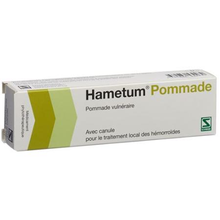 Hametum ointment with cannula Tb 50 g - PrimeCare Global