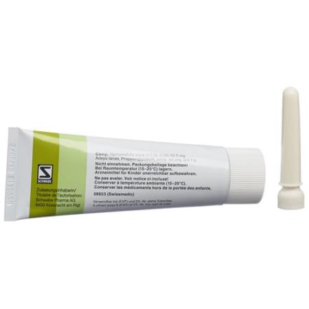Hametum ointment with cannula Tb 50 g - PrimeCare Global