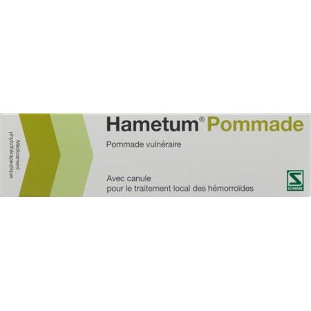 Hametum ointment with cannula Tb 50 g - PrimeCare Global