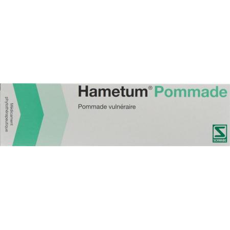 Hametum Ointment Tube 50 g - PrimeCare Global