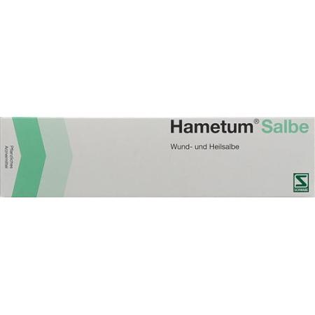 Hametum Ointment Tube 100 g - PrimeCare Global
