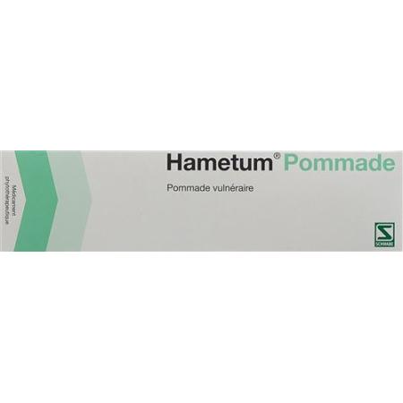Hametum Ointment Tube 100 g - PrimeCare Global