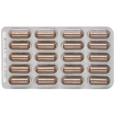 Padma digestin caps 60 pcs - PrimeCare Global