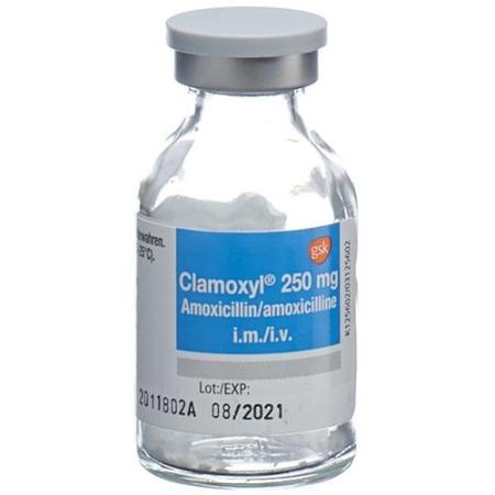 Clamoxyl dry sub 250 mg permeate 10 pcs - PrimeCare Global