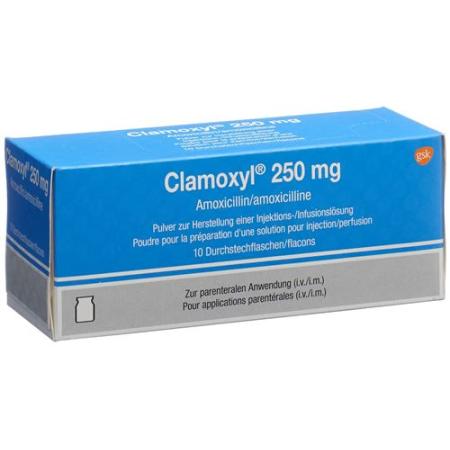 Clamoxyl dry sub 250 mg permeate 10 pcs - PrimeCare Global