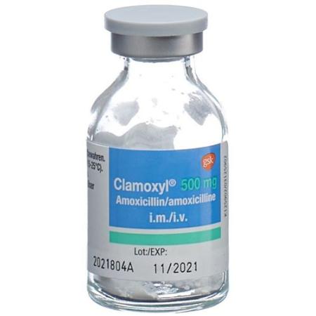 Clamoxyl dry sub 500 mg permeate 10 pcs - PrimeCare Global