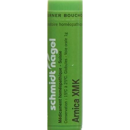 SN Arnica Glob XMK 10g - PrimeCare Global