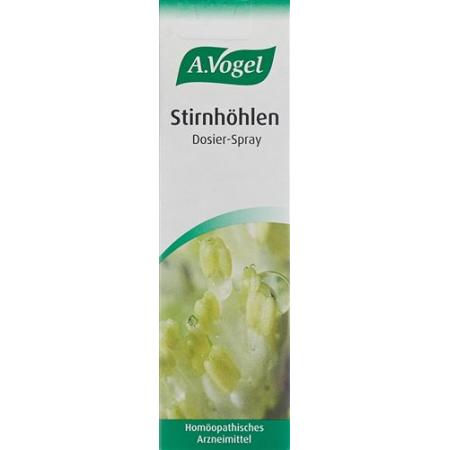 A. Vogel nasal sinus spray 20 ml - PrimeCare Global