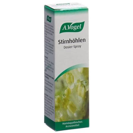 A. Vogel nasal sinus spray 20 ml - PrimeCare Global