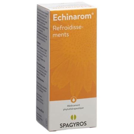 Echinarom Colds Drops Bottle 100 ml - PrimeCare Global