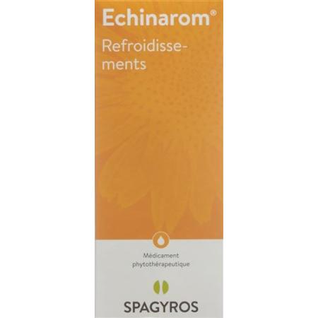 Echinarom Colds Drops Bottle 100 ml - PrimeCare Global