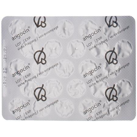 Angocin film tablets 100 pcs - PrimeCare Global
