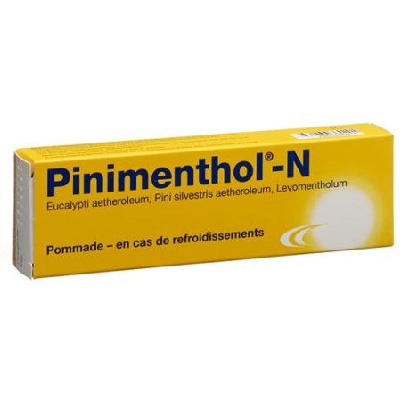 Pinimenthol N Ointment Tb 50 g - PrimeCare Global