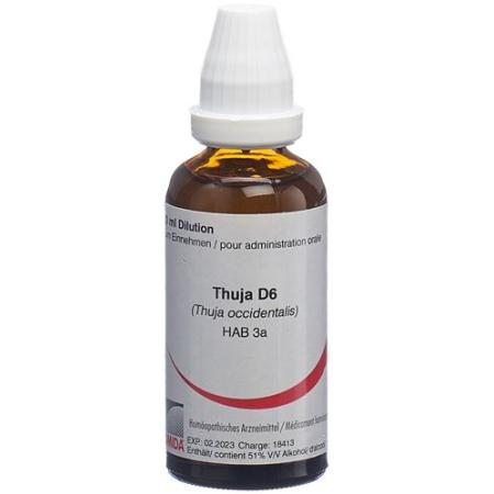 Omida Thuja liq D 6 50 ml - PrimeCare Global