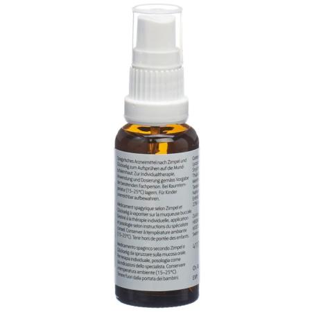 HEIDAK SPAGYRIK Taraxacum plus spray bottle 30 ml - PrimeCare Global