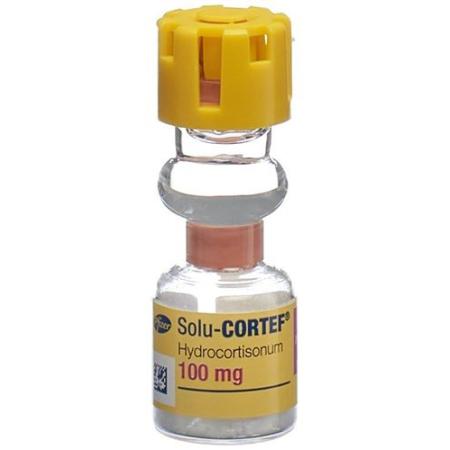 Solu-Cortef Dry Sub 100mg with Solvent 2ml Act O Vial - PrimeCare Global