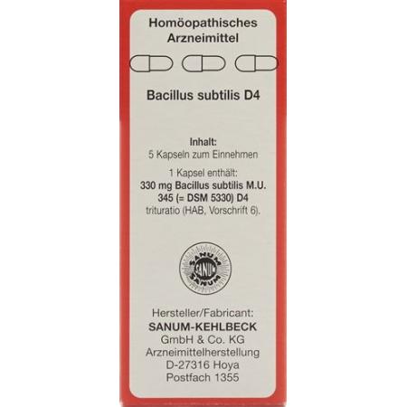 Sanum Bacillus subtilis Capsules D 4 5 pcs - PrimeCare Global