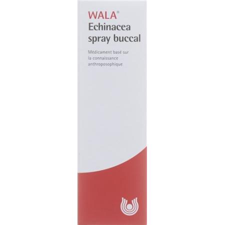 Wala Echinacea mouth spray 50 ml - PrimeCare Global
