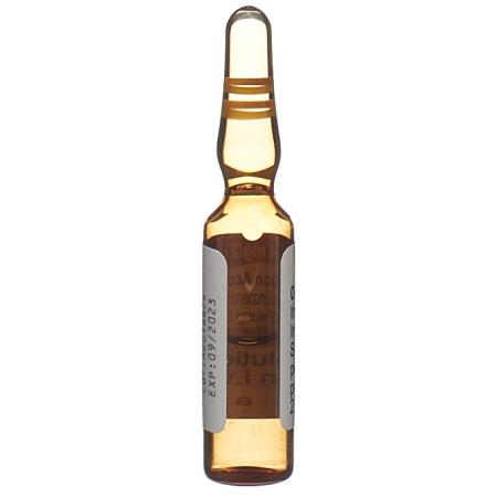 ONDANSETRON Accord Inf Konz 4 mg/2ml - PrimeCare Global