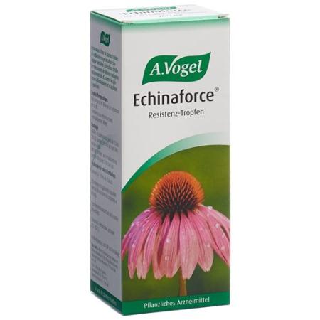 Vogel Echinaforce Resistance Cold Drops Bottle 200 ml - PrimeCare Global