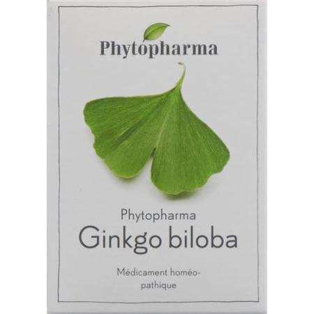 Phytopharma Ginkgo Biloba Tabletten 120 Stück - PrimeCare Global