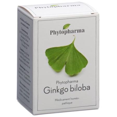 Phytopharma Ginkgo Biloba Tabletten 120 Stück - PrimeCare Global