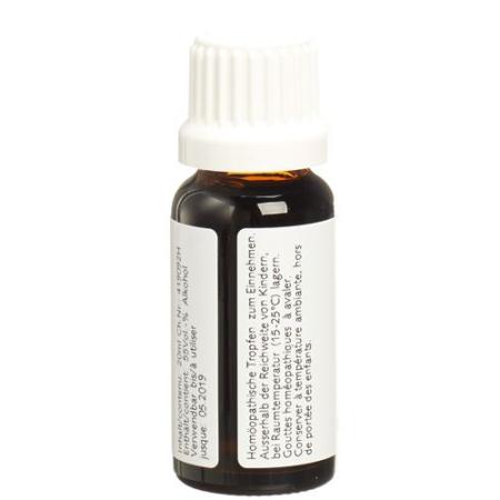 Ceres kidney-bladder complex drops Fl 20 ml - PrimeCare Global