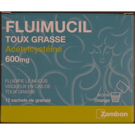 Fluimucil 600 mg 12 sachets - PrimeCare Global