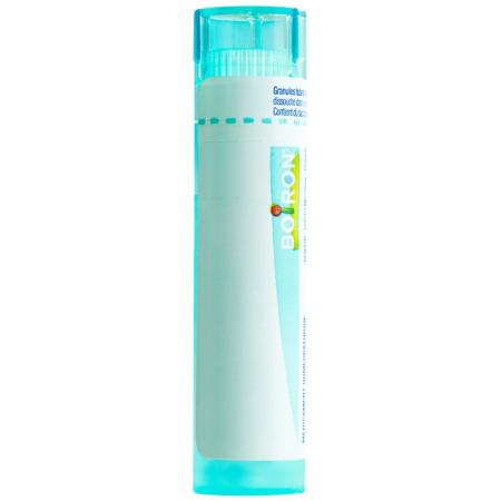 Boiron Allium cepa Gran 200K 4g - PrimeCare Global