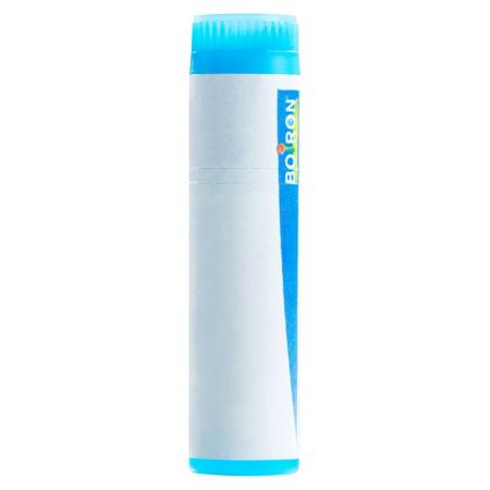 BOIRON Asa foetida Glob CH9 - PrimeCare Global