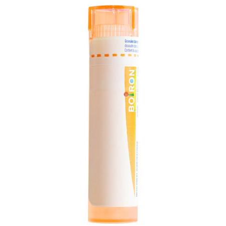 Boiron Radium Bromatum Gran CH 15 4g - PrimeCare Global