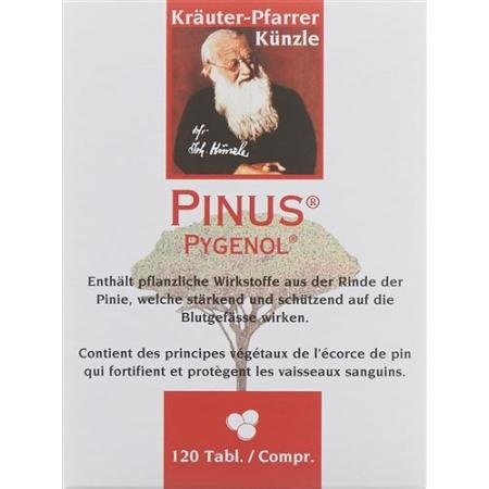 K&uuml;nzle vein problems Pinus Pygenol film tablets 120 pcs - PrimeCare Global