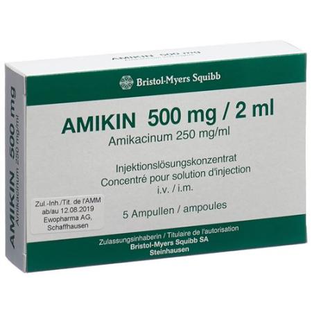 Amikin Inf Conc 500mg/2ml 5 vials 2ml - PrimeCare Global
