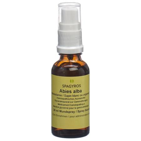 SPAGYROS GEMMO Abies alba Glyc Maz D 1 - PrimeCare Global
