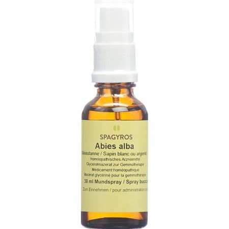 SPAGYROS GEMMO Abies alba Glyc Maz D 1 - PrimeCare Global