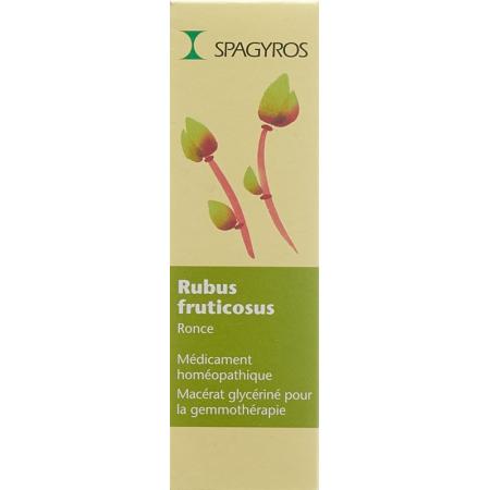 SPAGYROS GEMMO Rubus fruticos Glyc Maz D 1 - PrimeCare Global