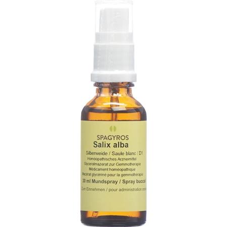 SPAGYROS GEMMO Salix alba Glyc Maz D 1 - PrimeCare Global