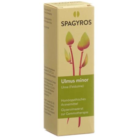 SPAGYROS GEMMO Ulmus minor Glyc Maz D 1 - PrimeCare Global