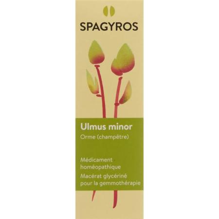 SPAGYROS GEMMO Ulmus minor Glyc Maz D 1 - PrimeCare Global