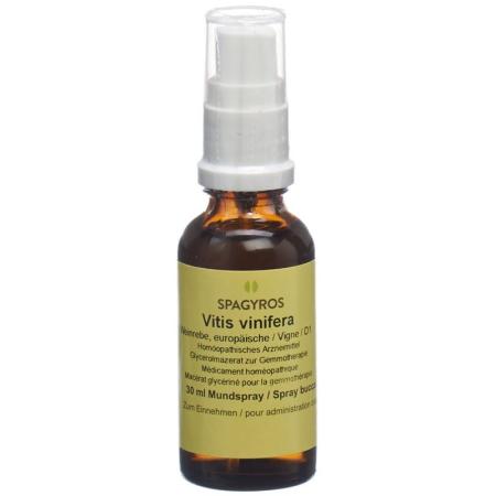 SPAGYROS GEMMO Vitis vinifera Glyc Maz D 1 - PrimeCare Global
