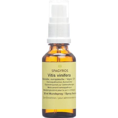 SPAGYROS GEMMO Vitis vinifera Glyc Maz D 1 - PrimeCare Global