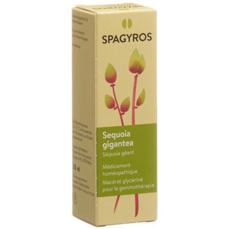 SPAGYROS GEMMO Sequoia gigant Glyc Maz D 4 - PrimeCare Global