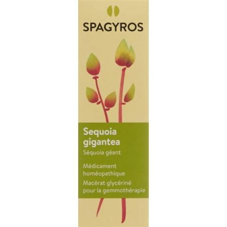 SPAGYROS GEMMO Sequoia gigant Glyc Maz D 4 - PrimeCare Global