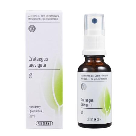 PHYTOMED GEMMO Crataegus laevig Urtinkt - PrimeCare Global