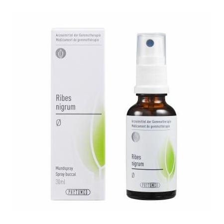 PHYTOMED GEMMO Ribes nigrum Urtinkt - PrimeCare Global