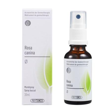 PHYTOMED GEMMO Rosa canina Urtinkt - PrimeCare Global