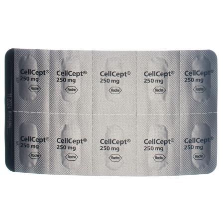 CellCept Kaps 250 mg 3 x 100 pcs - PrimeCare Global