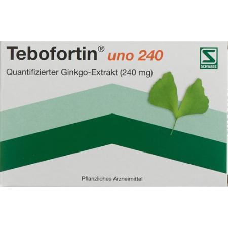 Tebofortin uno 240 film-coated tablets 240 mg 40 pcs - PrimeCare Global