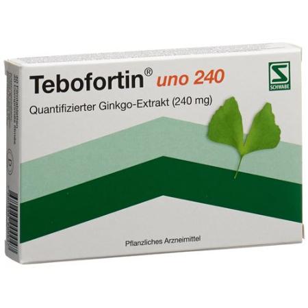 Tebofortin uno 240 film-coated tablets 240 mg 40 pcs - PrimeCare Global